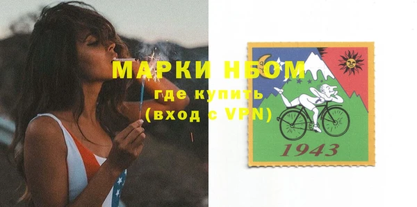 молекула духа Богданович