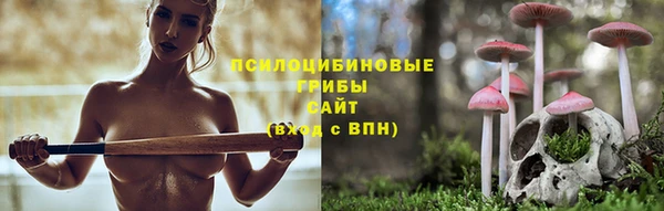 кокаин VHQ Тавда