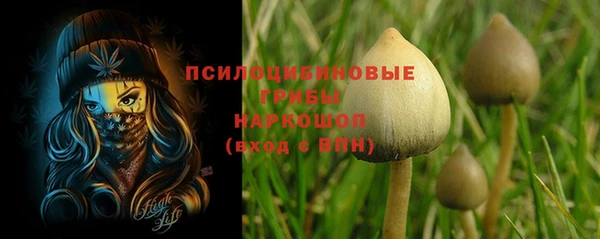 молекула духа Богданович