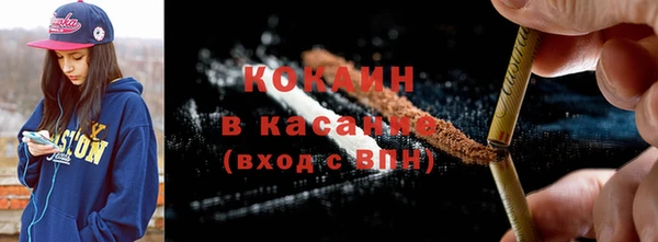 молекула духа Богданович