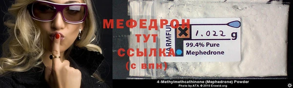 молекула духа Богданович