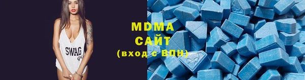молекула духа Богданович