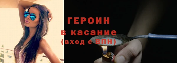 молекула духа Богданович
