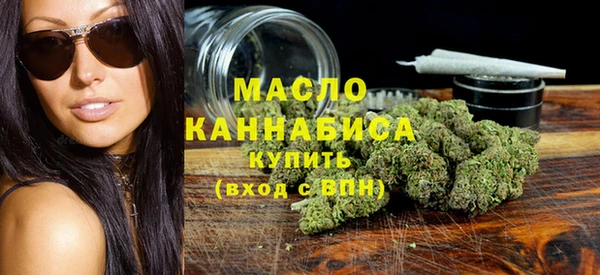 молекула духа Богданович