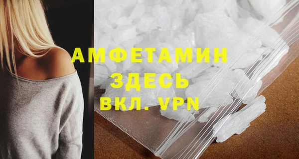 молекула духа Богданович