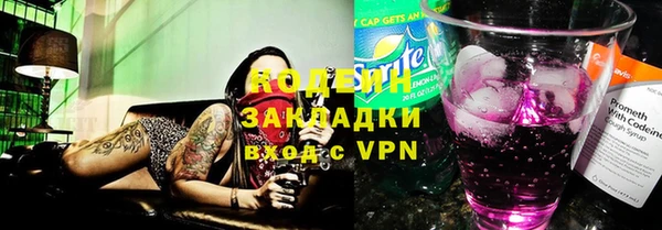 молекула духа Богданович