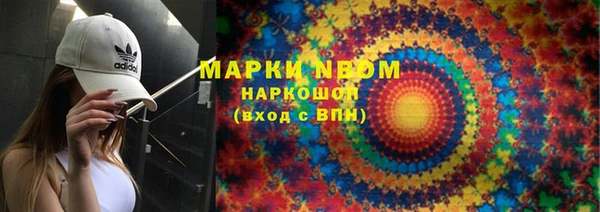 молекула духа Богданович