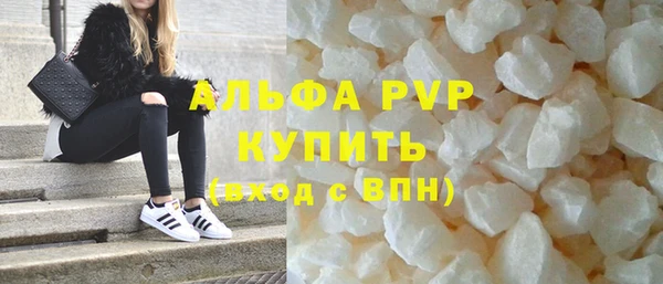 молекула духа Богданович