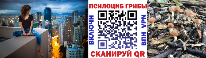 Галлюциногенные грибы мухоморы Калач-на-Дону